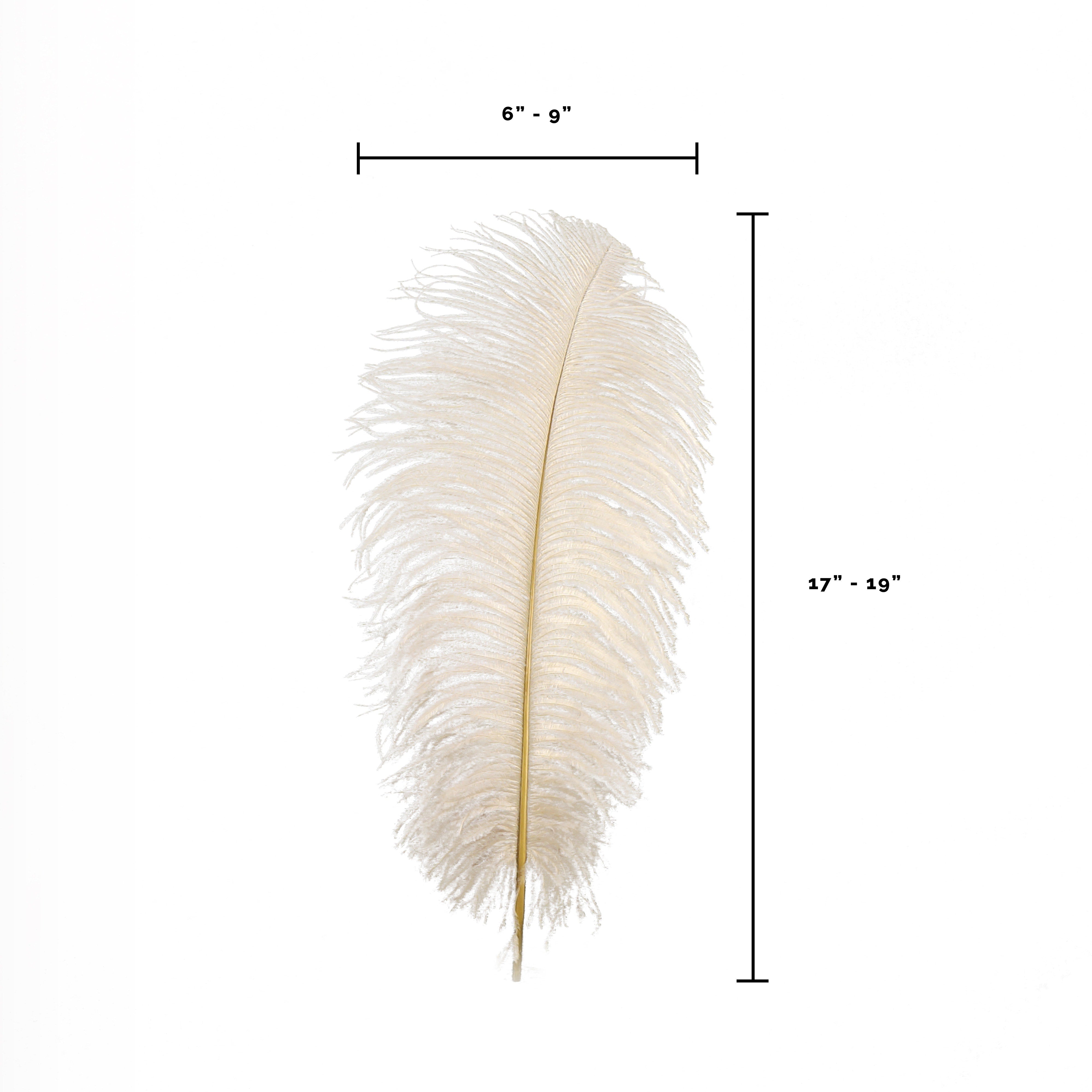 Large Ostrich Feathers - 17"+ Drabs - Beige – Featherplace.com By ...