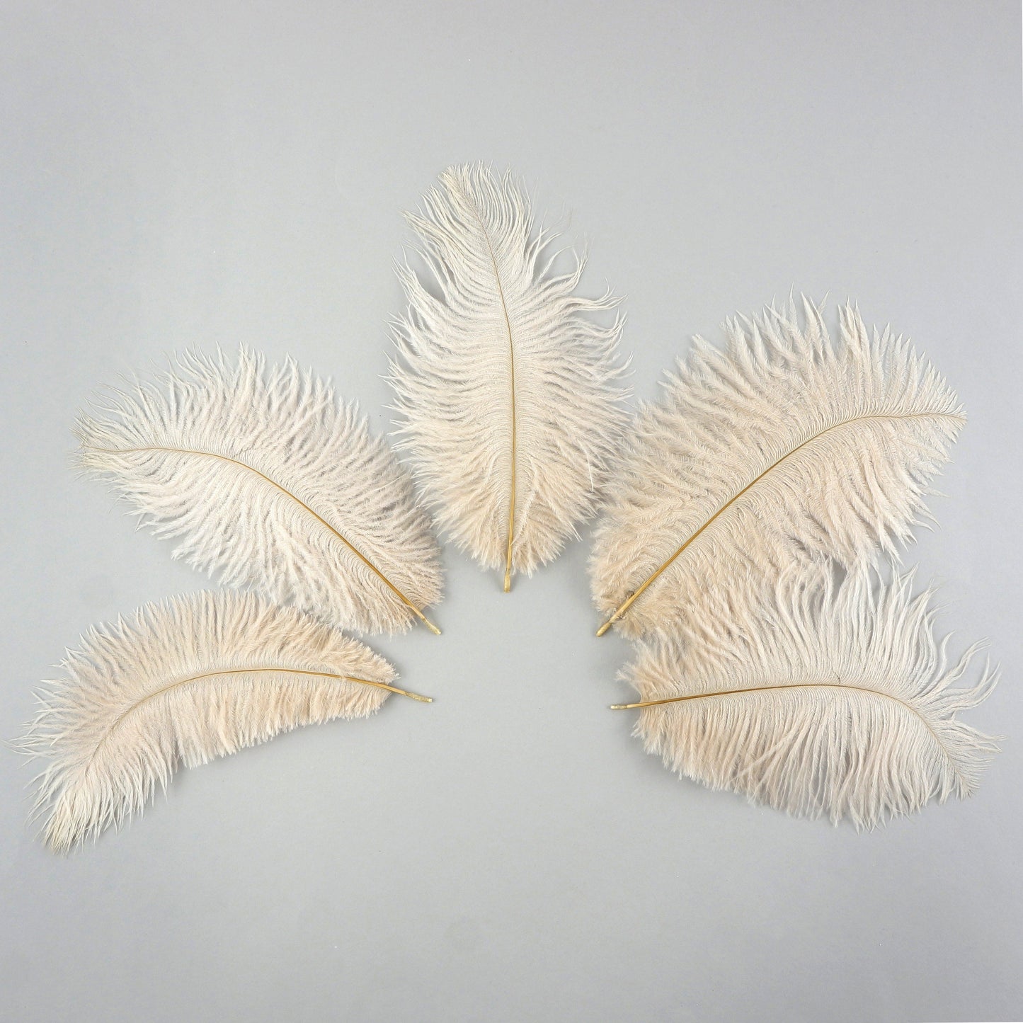 Ostrich Feathers 4-8" Drabs - Beige