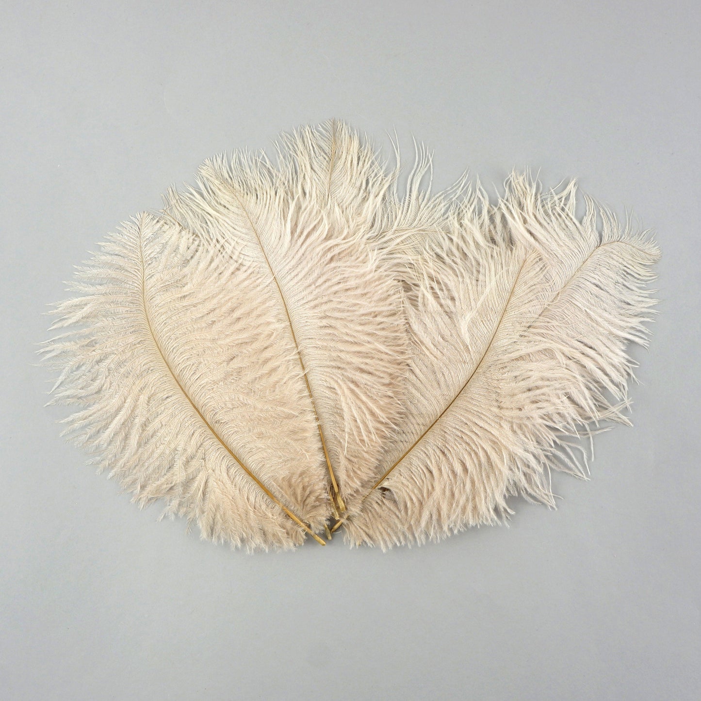 Ostrich Feathers 4-8" Drabs - Beige