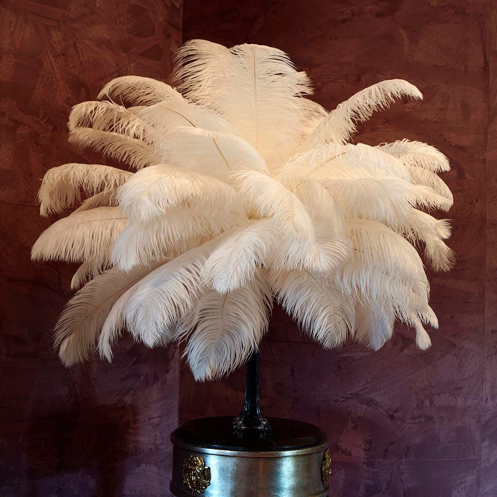 Large Ostrich Feathers - 20-25" Prime Femina Plumes - Beige