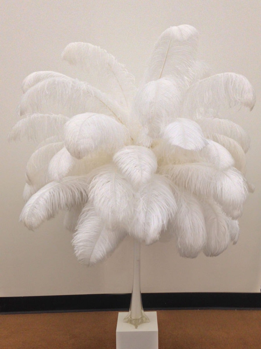 Large Ostrich Feathers - 20-25" Prime Femina Plumes - Beige