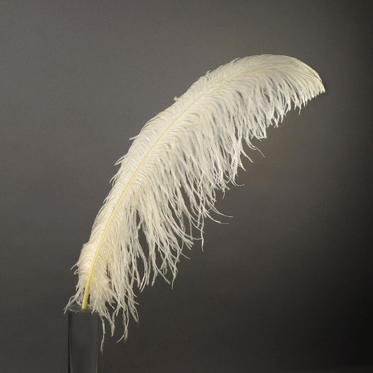 Large Ostrich Feathers - 20-25" Prime Femina Plumes - Beige