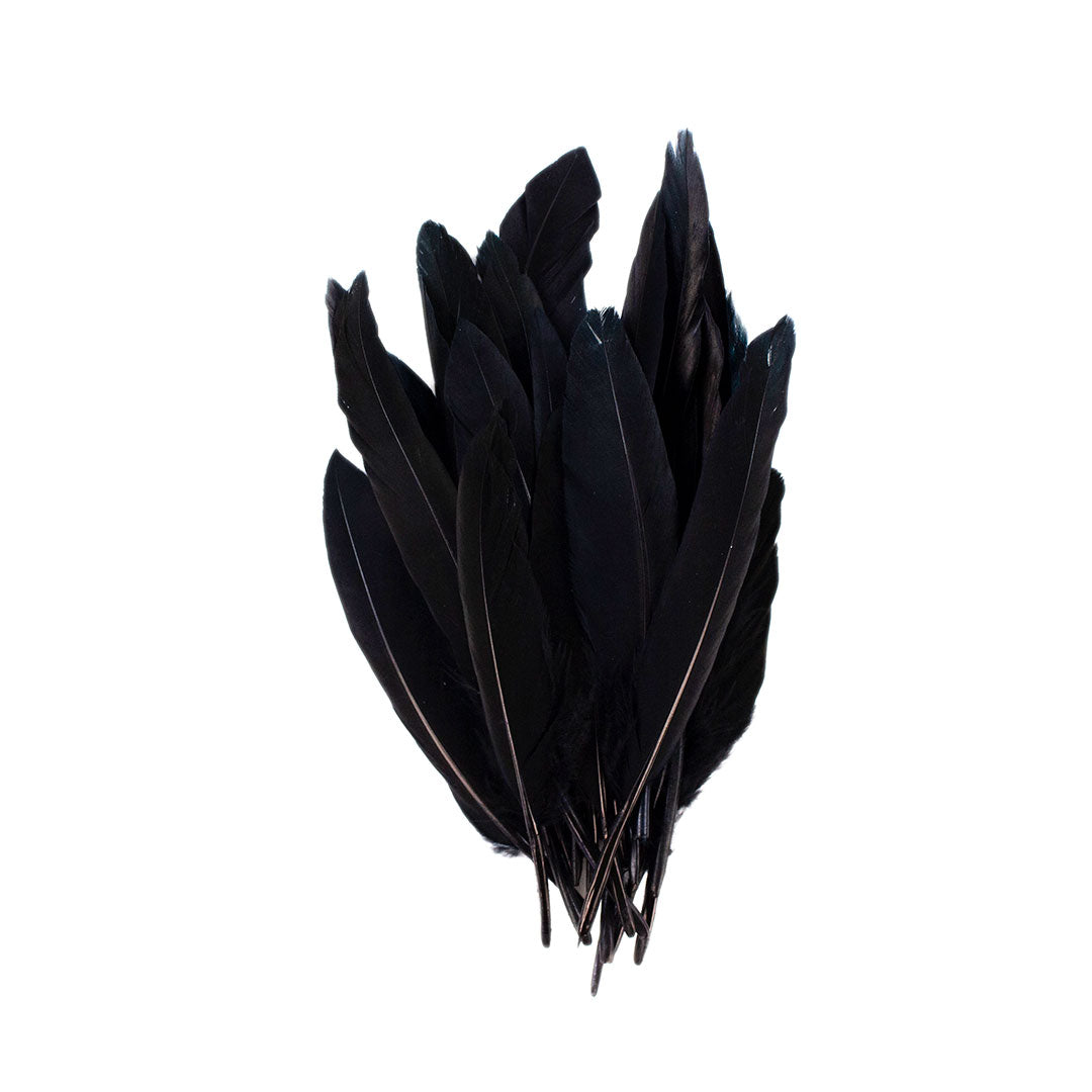 Duck Cosse Feathers - Black