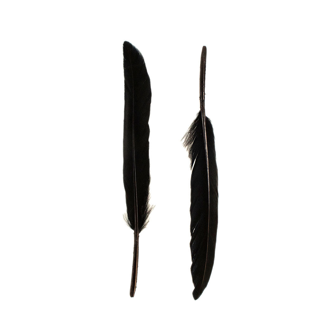 Duck Cosse Feathers - Black