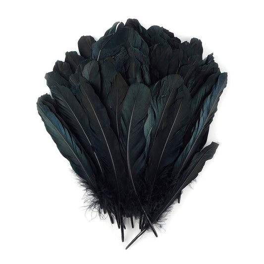 Goose Favion Feathers - Black - Iridescent