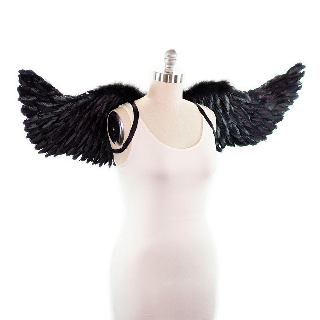 Black Swan Wings