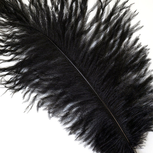homeemoh Black Feathers Bulk 20pcs 6-8 Inch Craft Feathers Assorted  Rooster/Ostrich/Pheasant/Goose Feathers Black Natural Feathers for Crafts