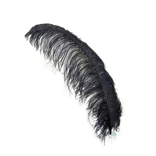 Large Ostrich Feathers - 24-30" Prime Femina Plumes - Black