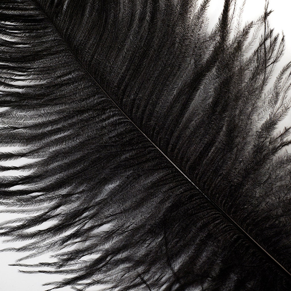 Feather |18” by fashion 24”|