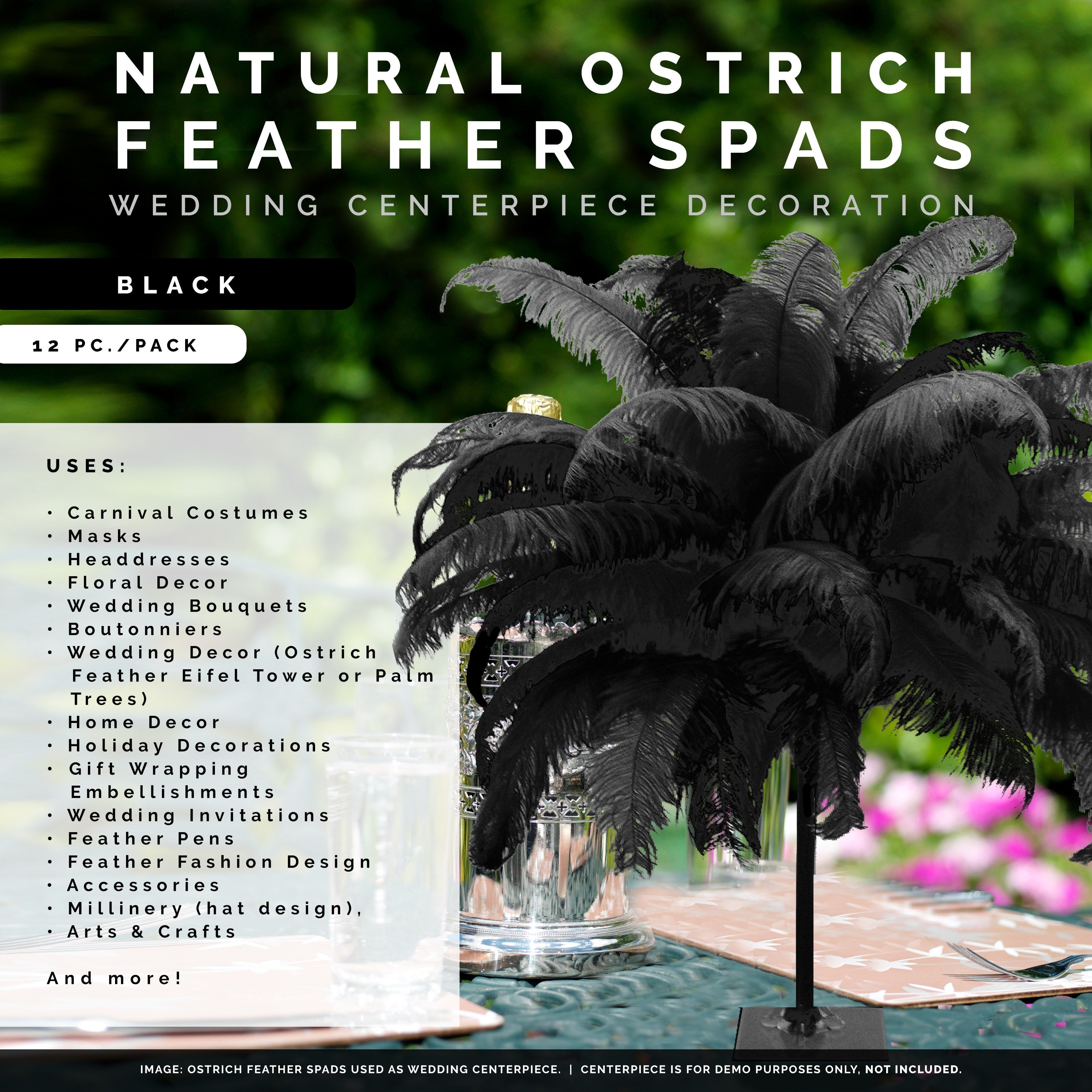 24 ostrich deals feathers