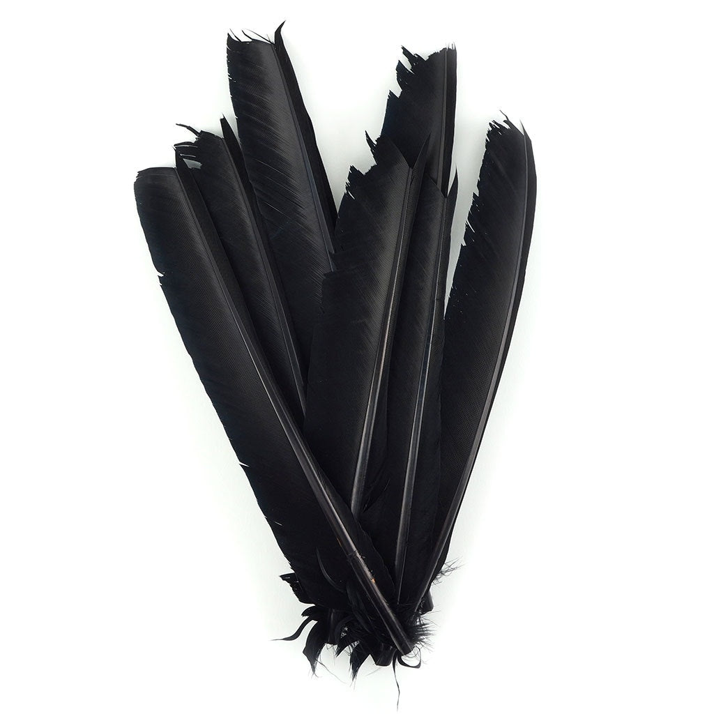 Bulk Turkey Pointers Left Wing 1/4 LB - Black – featherplace.com by ...