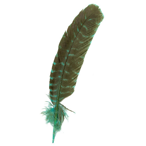 Barred Turkey Quills - Right Wing - 8-12 Inches - 12 pc - Fluorescent Blue