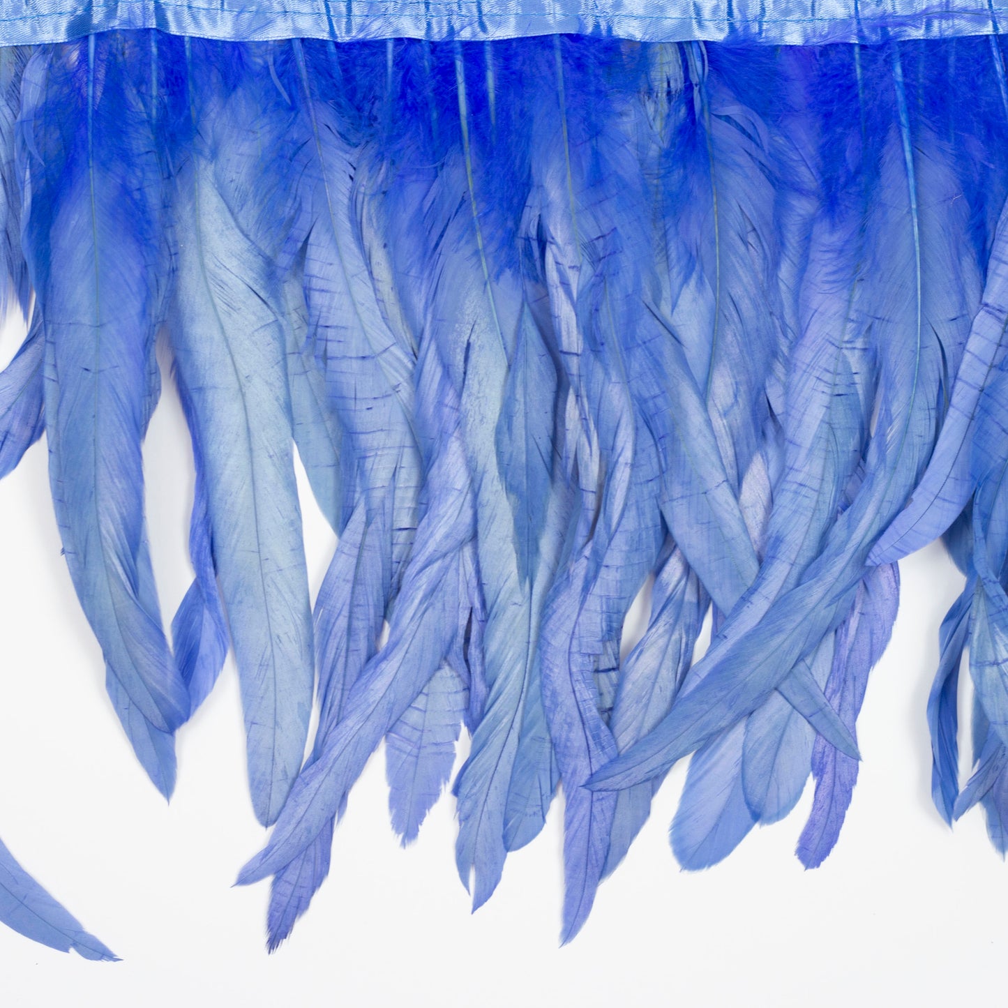 Coque Tail Feather Fringe - 10-12" - Bleach Dyed Sky Blue