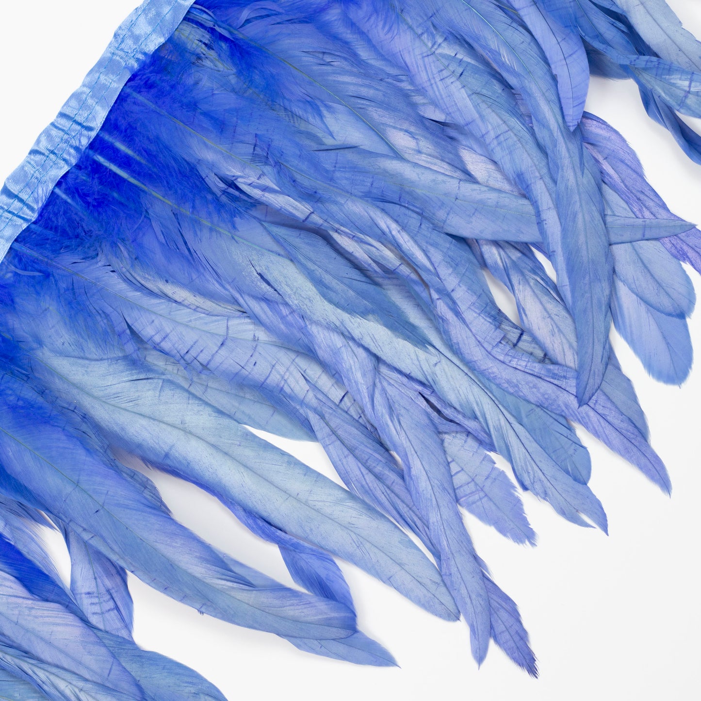 Coque Tail Feather Fringe - 10-12" - Bleach Dyed Sky Blue