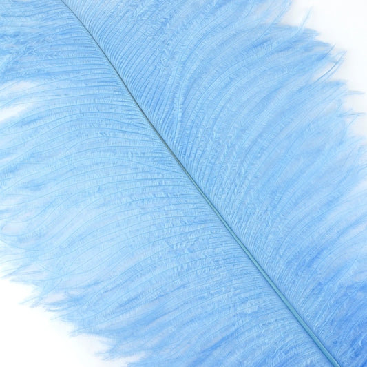 Large Ostrich Feathers - 18-24" Spads - Sky