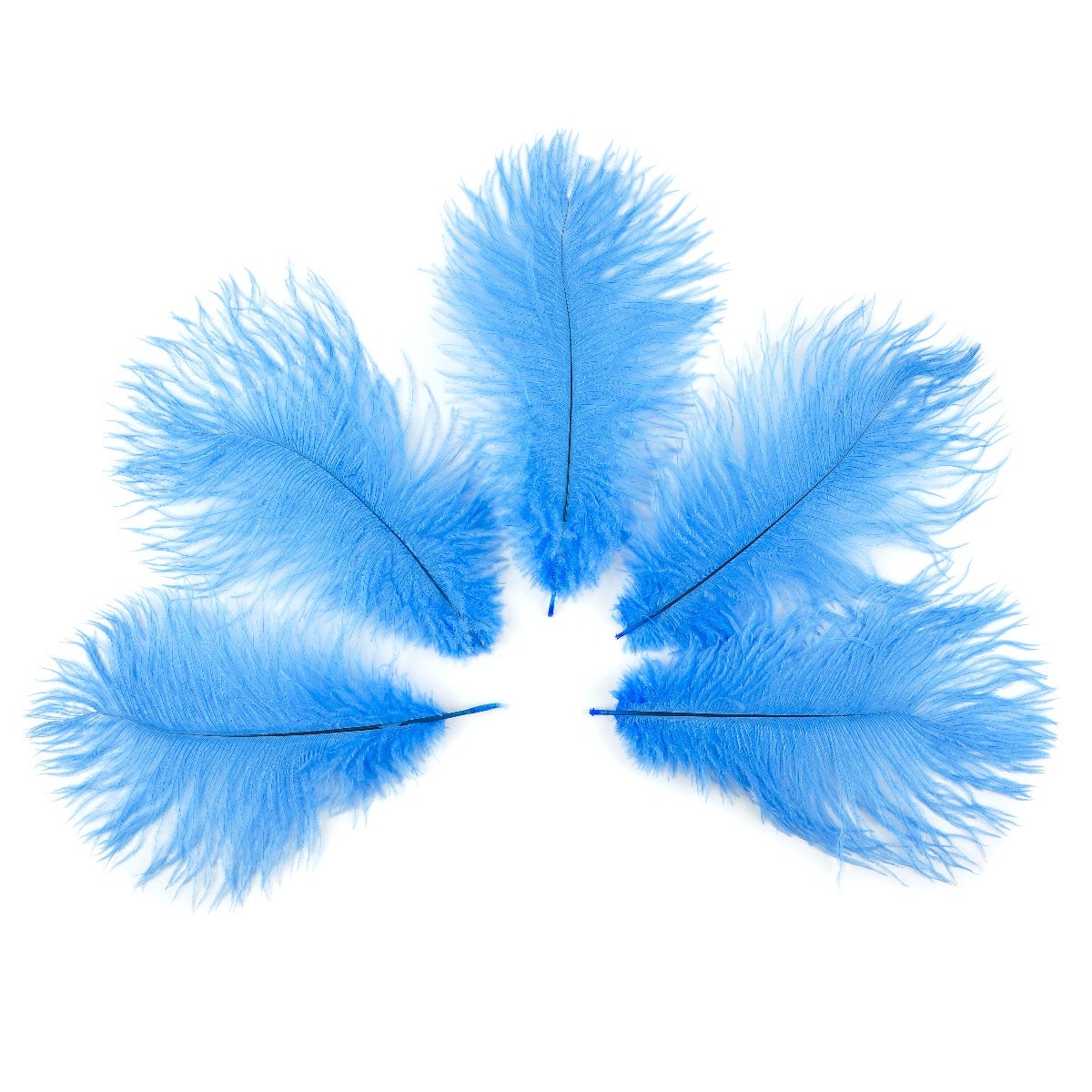 Ostrich Feathers 9-12" Drabs - Sky