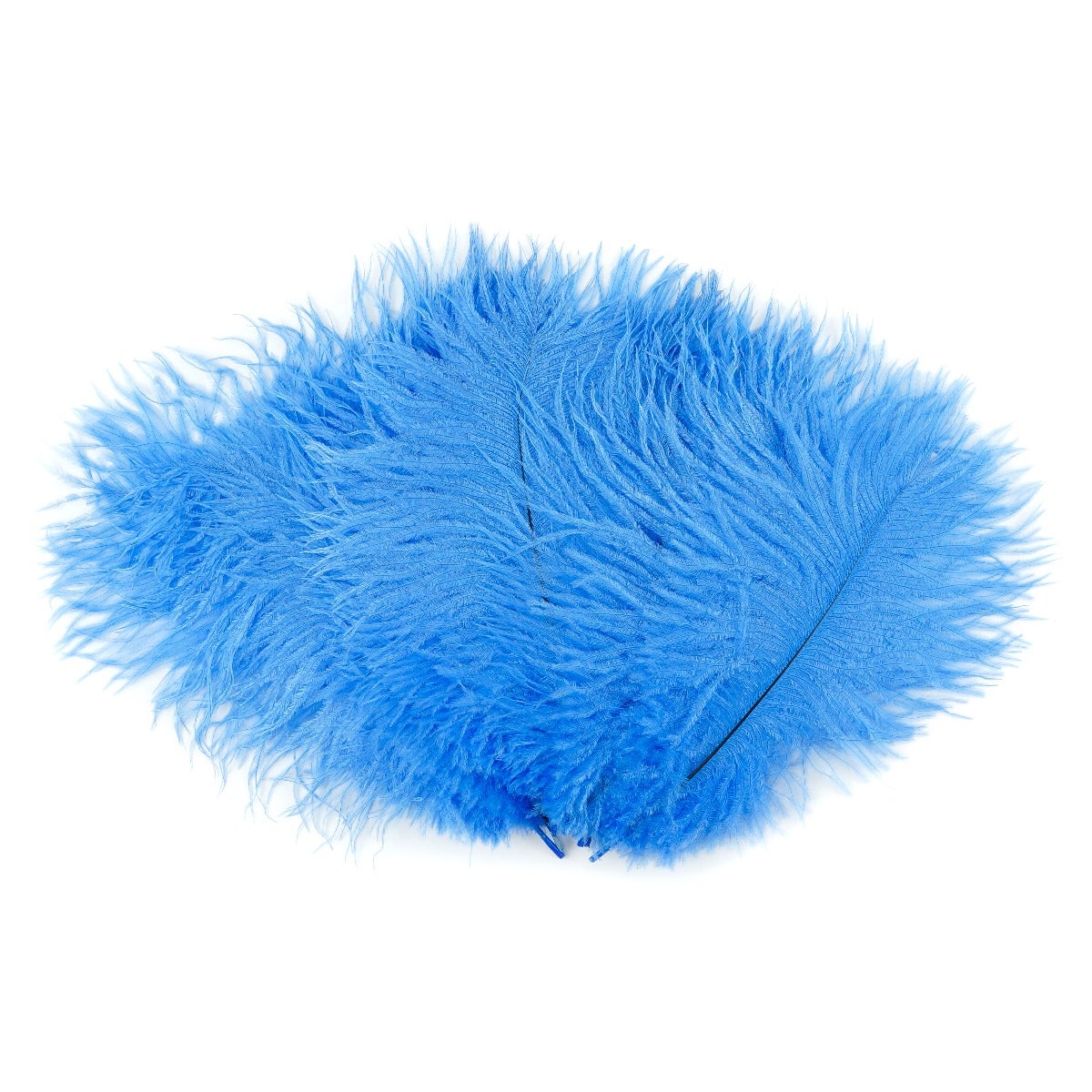 Ostrich Feathers 9-12" Drabs - Sky