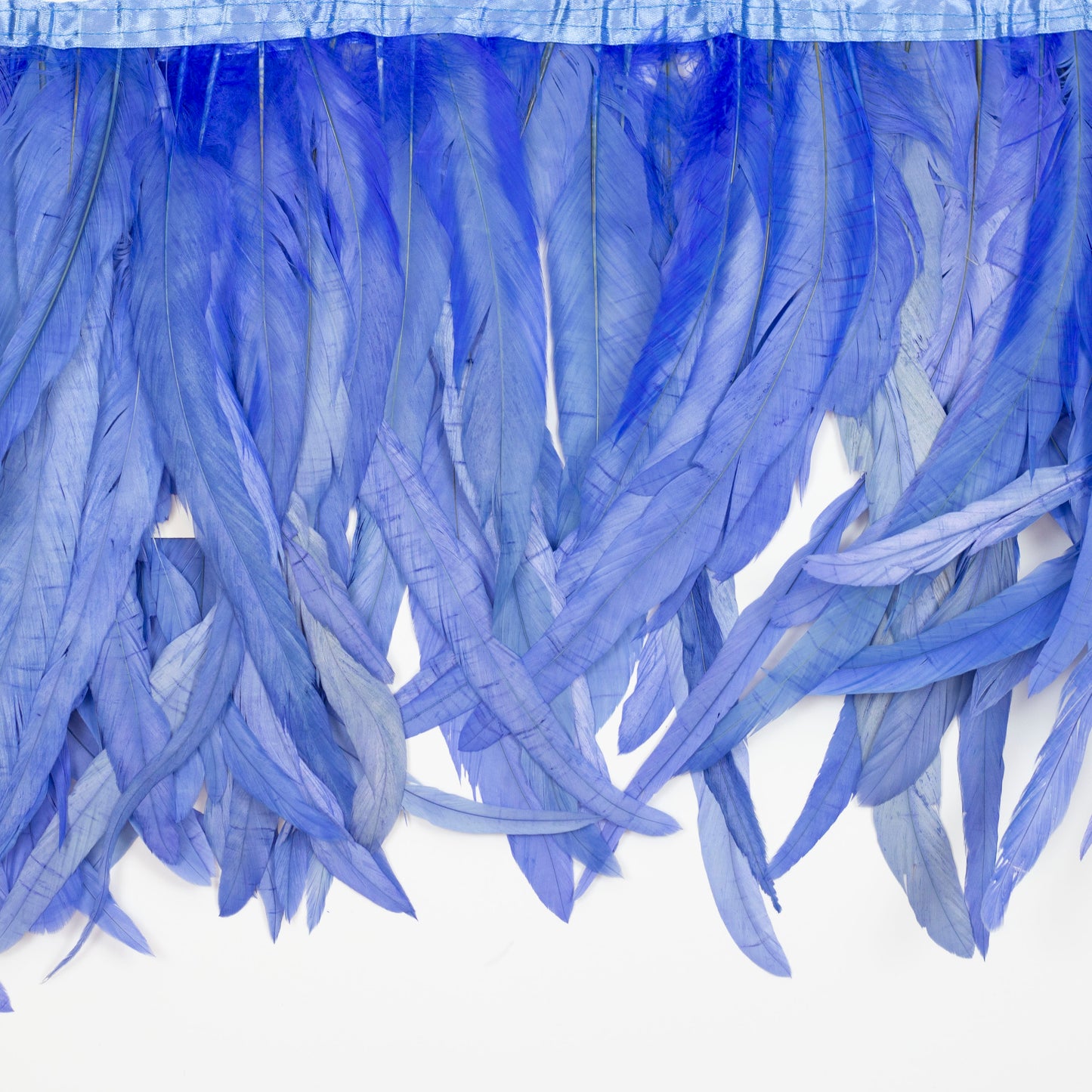 Coque Tail Feather Fringe - 12-14" - Bleach Dyed Sky Blue