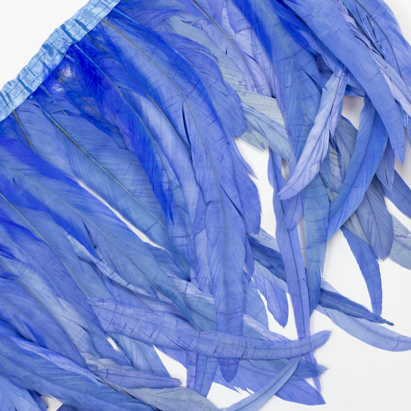 Coque Tail Feather Fringe - 12-14" - Bleach Dyed Sky Blue