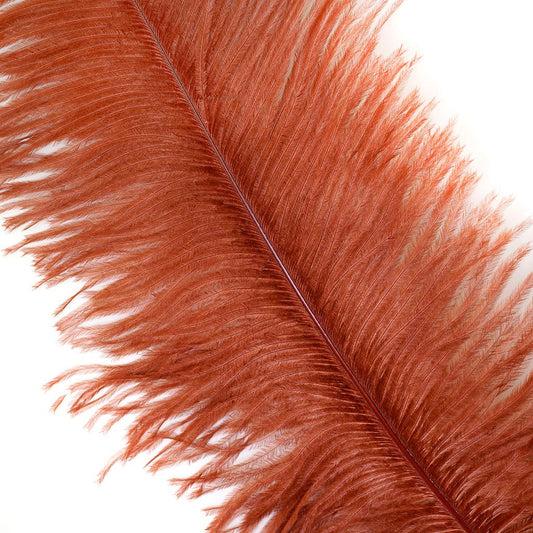 Large Ostrich Feathers - 17"+ Drabs - Copper