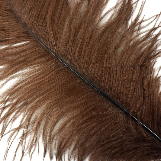 Large Ostrich Feathers - 17"+ Drabs - Brown