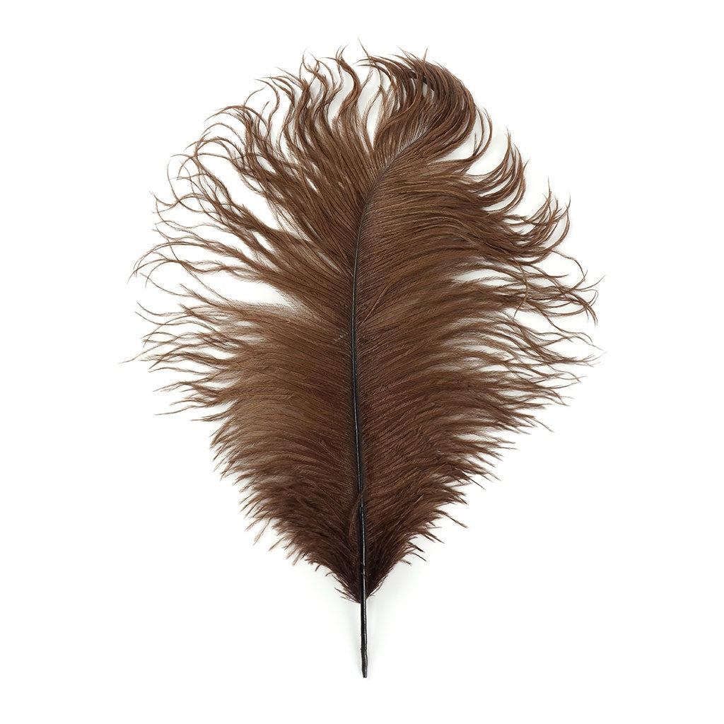 Brown Ostrich Feather, Large Feathers