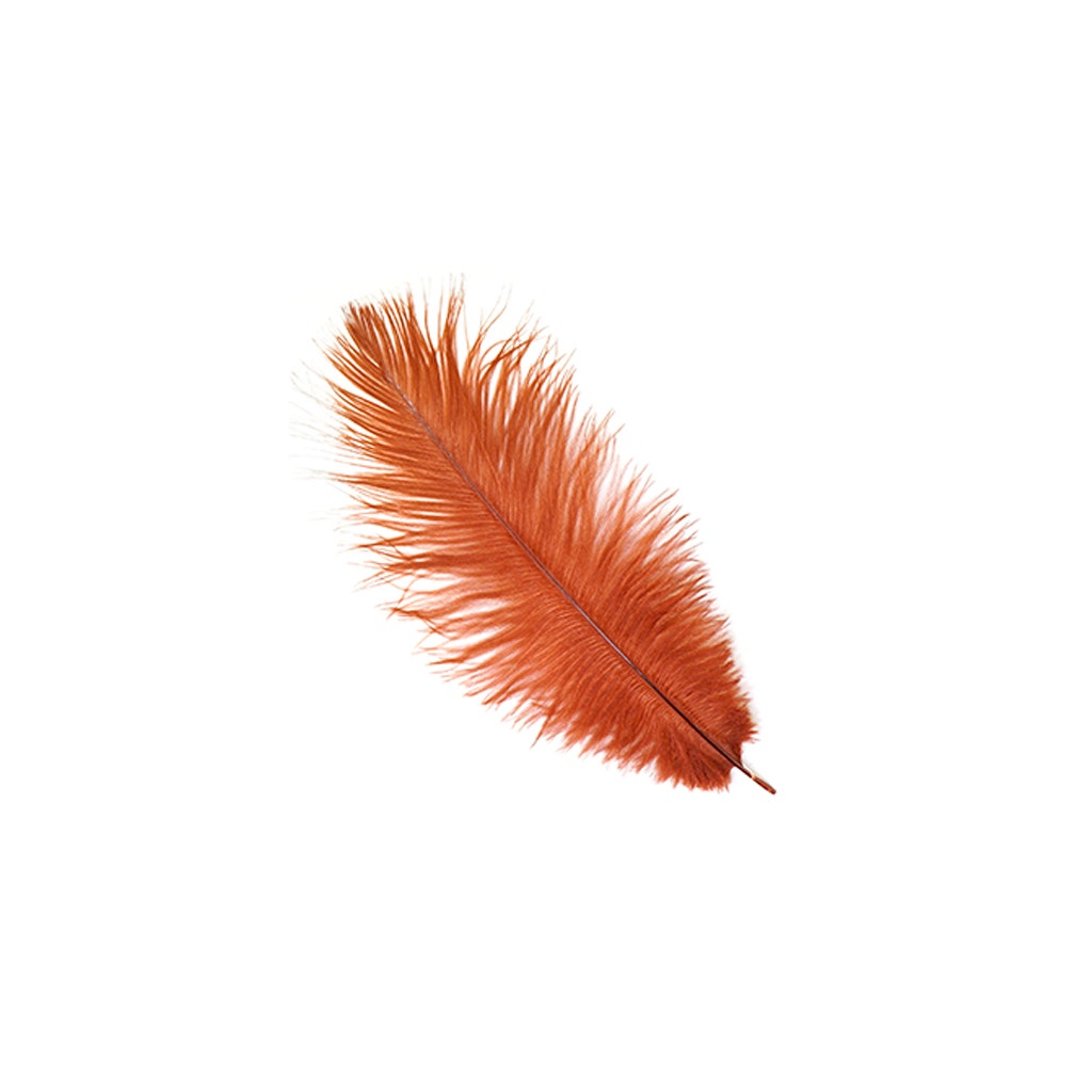 Ostrich Feathers 9-12" Drabs - Copper