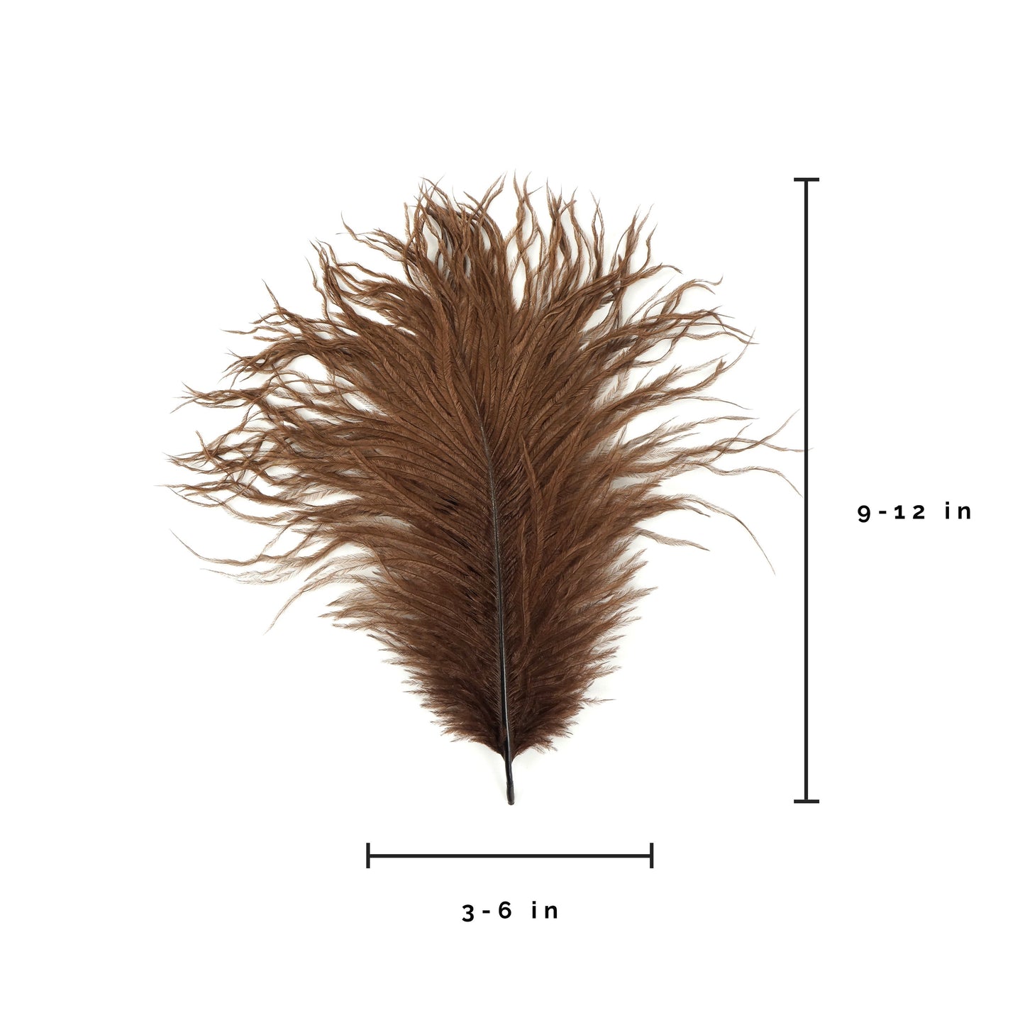 Ostrich Feathers 9-12" Drabs -  Brown