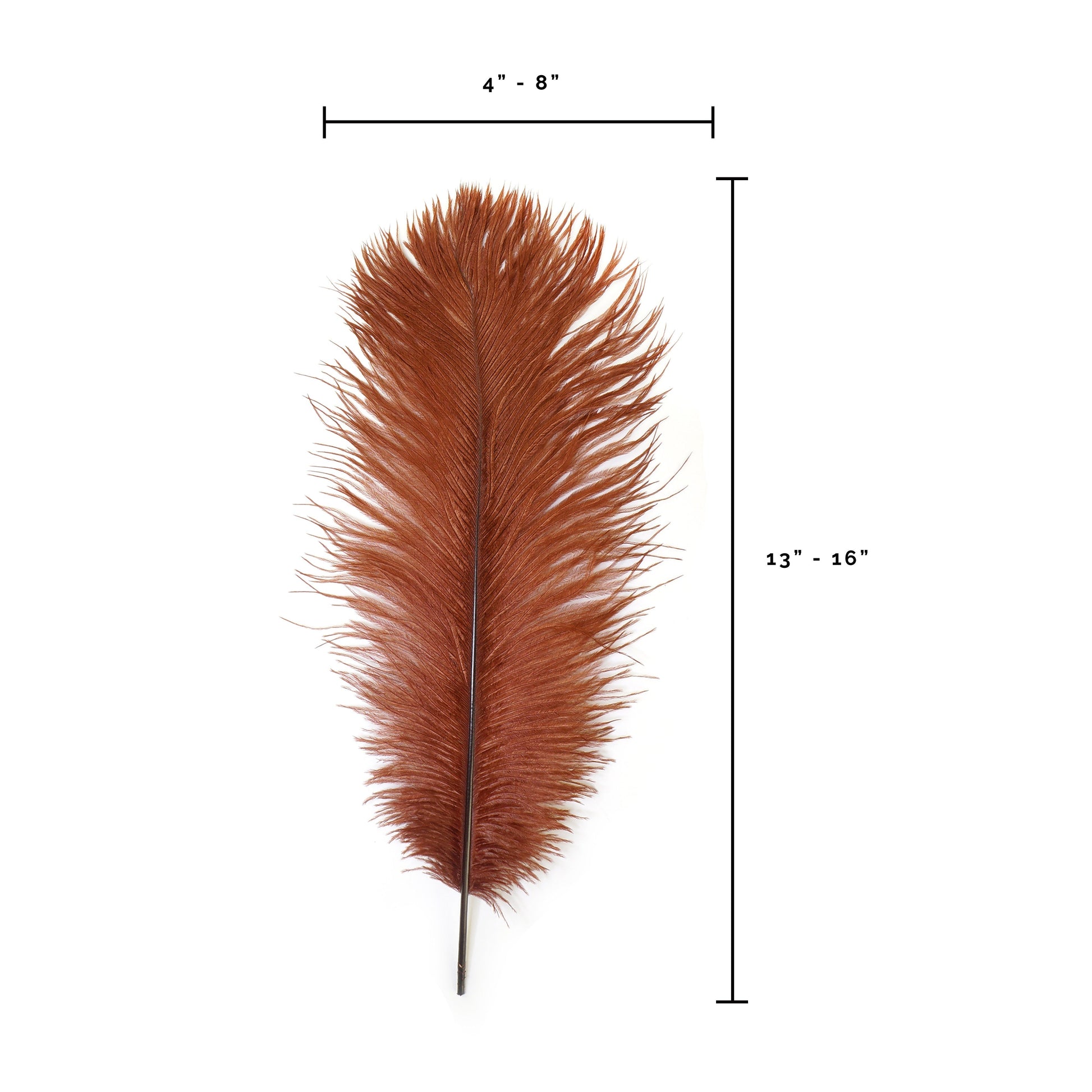 Bulk Ostrich Feathers-Damaged Drabs - Copper –  by Zucker  Feather Products, Inc.