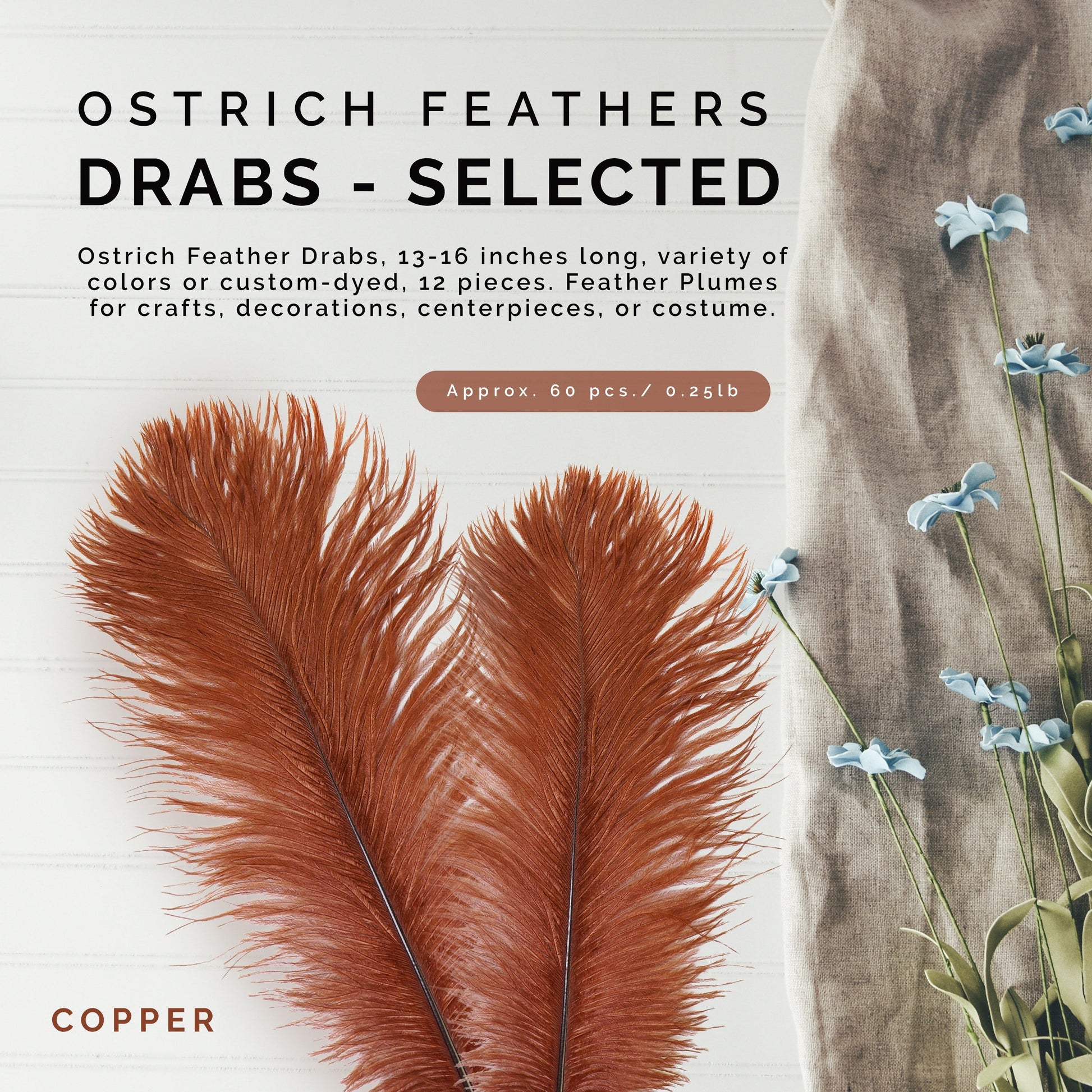Ostrich Feathers: Ostrich Plumes or Ostrich Drabs - Events Wholesale