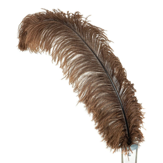 Large Ostrich Feathers - 20-25" Prime Femina Plumes - Brown