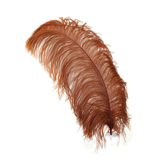 Large Ostrich Feathers - 20-25" Prime Femina Plumes - Copper