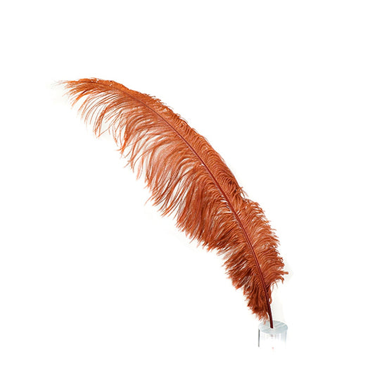 Large Ostrich Feathers - 18-24" Spads - Copper