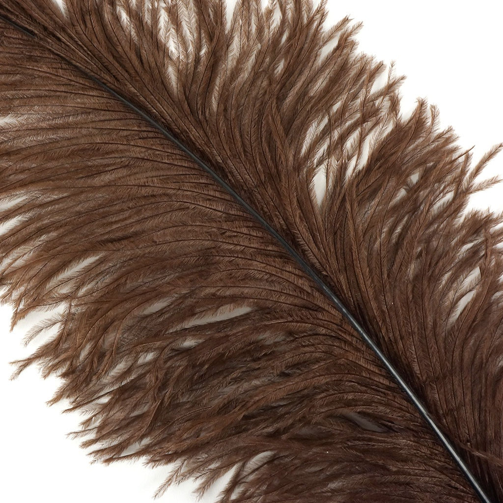 Brown Ostrich Feather, Large Feathers