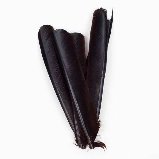 Brown Cut Turkey Pointer Feathers 8-12"