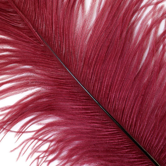 Large Ostrich Feathers - 17"+ Drabs - Burgundy