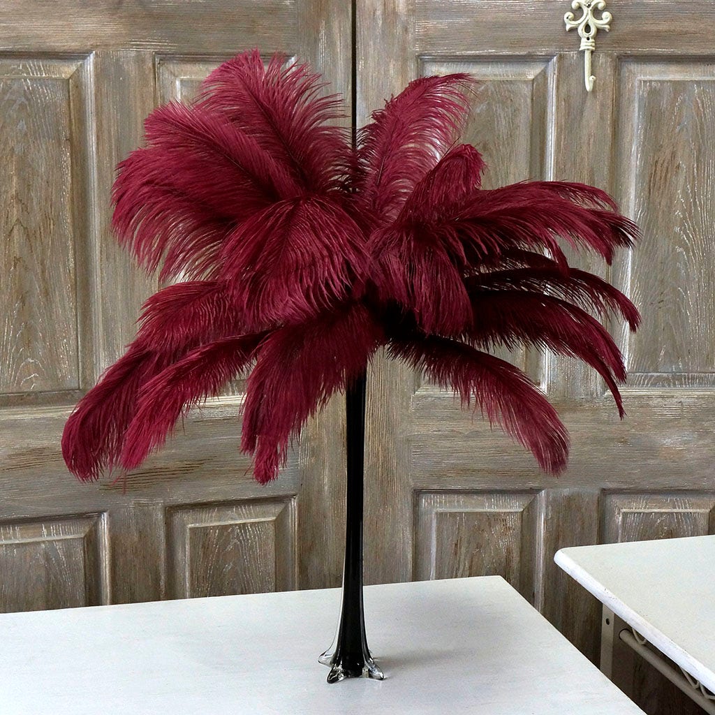 Burgundy ostrich shop feathers