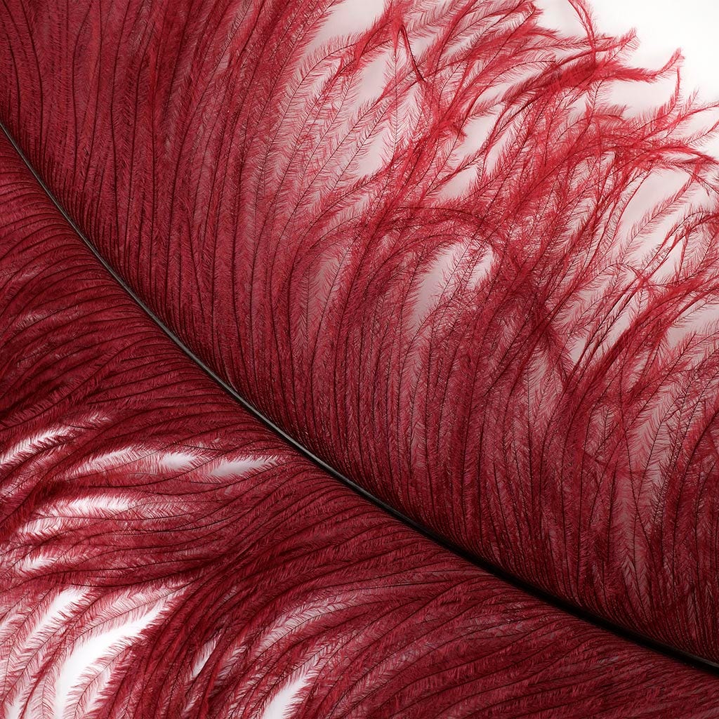 Large Ostrich Feathers - 24-30" Prime Femina Plumes - Burgundy