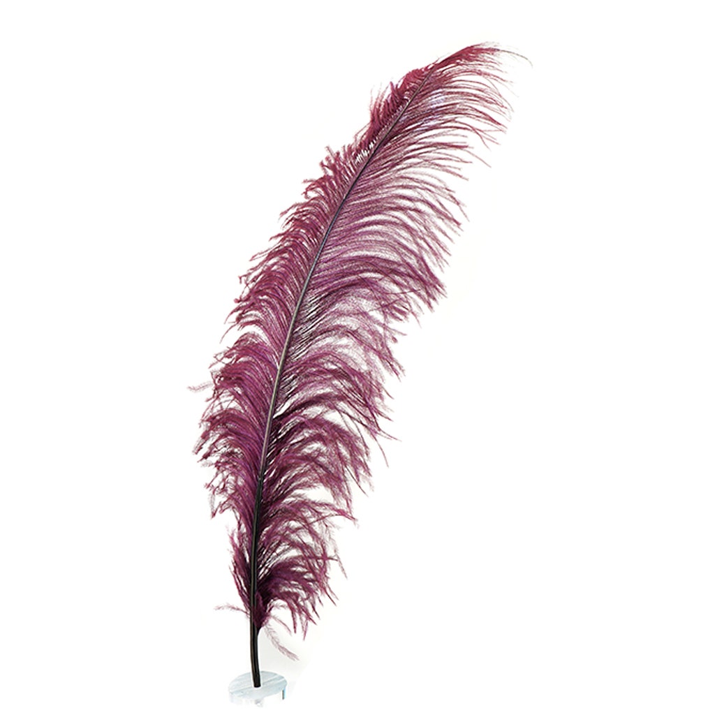 Large Ostrich Feathers - 18-24" Spads - Burgundy