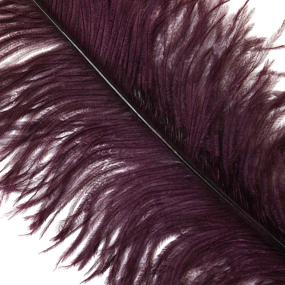 Large Ostrich Feathers - 18-24" Spads - Burgundy