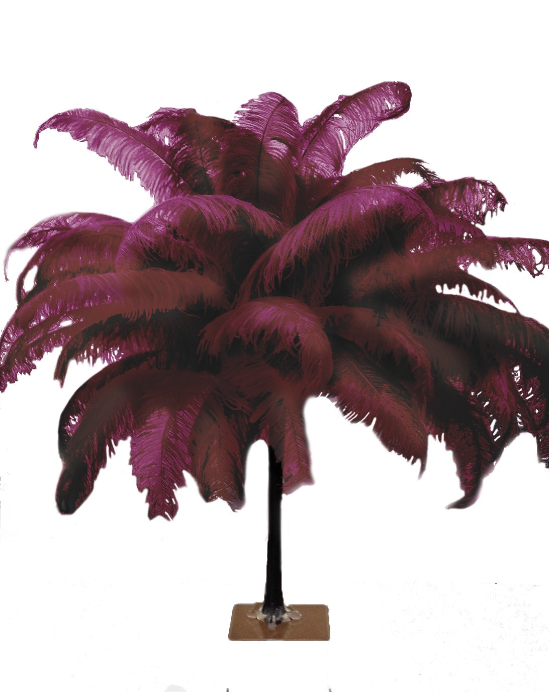 Large Ostrich Feathers - 18-24" Spads - Burgundy