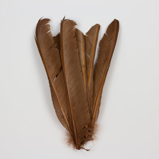 Camel Cut Turkey Pointer Feathers 8-12"