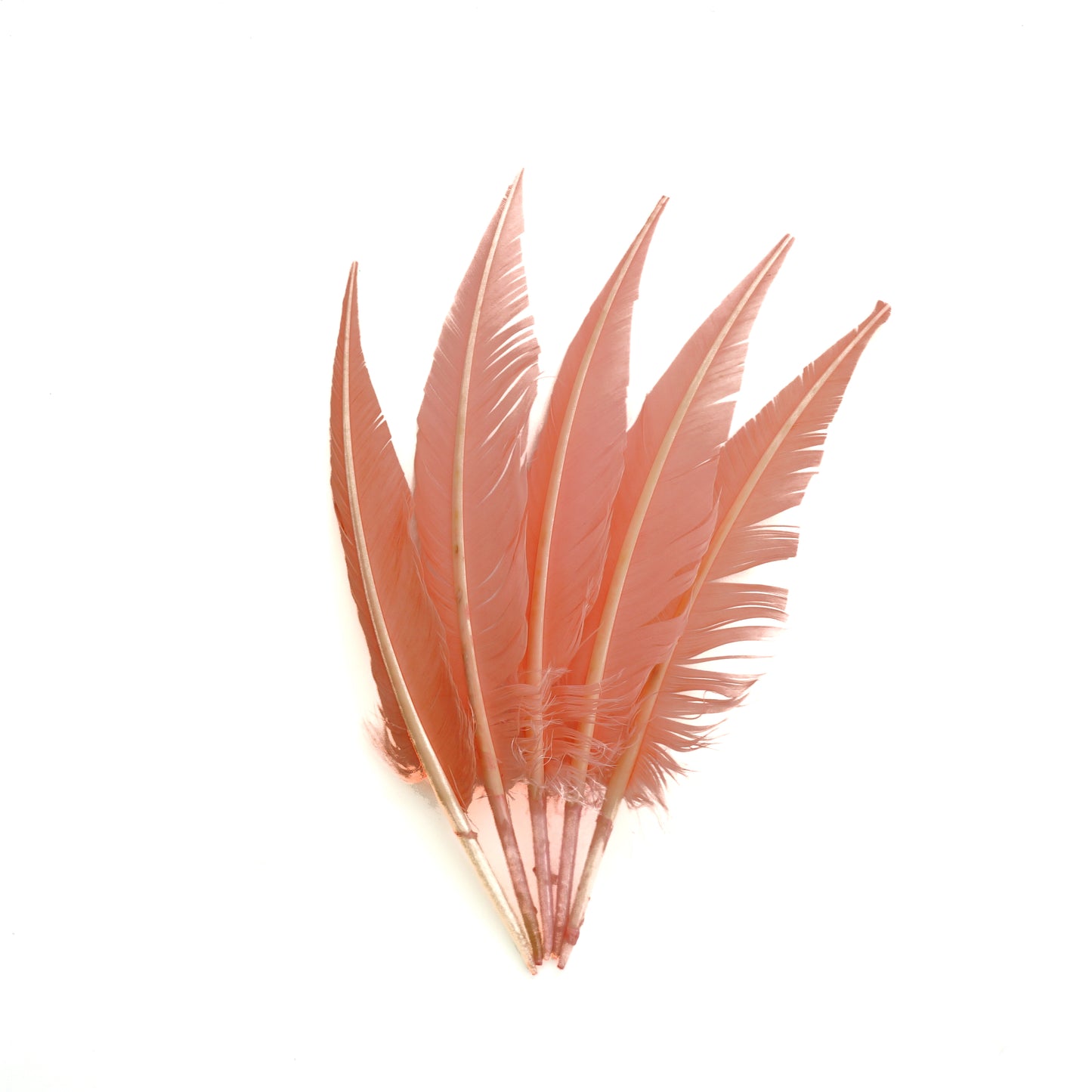 Candy Pink Dagger Turkey Quill Feathers 9-12"