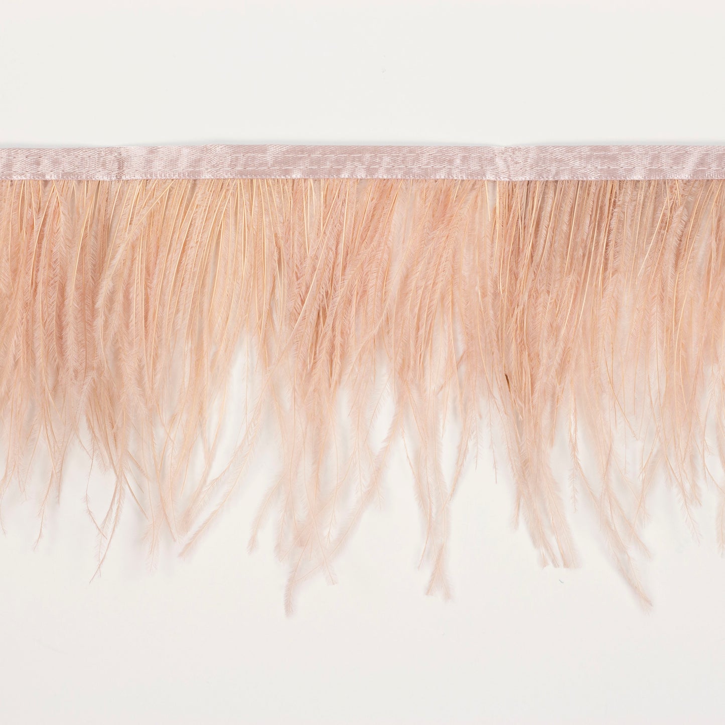 Ostrich Feather Fringe 2PLY - Champagne