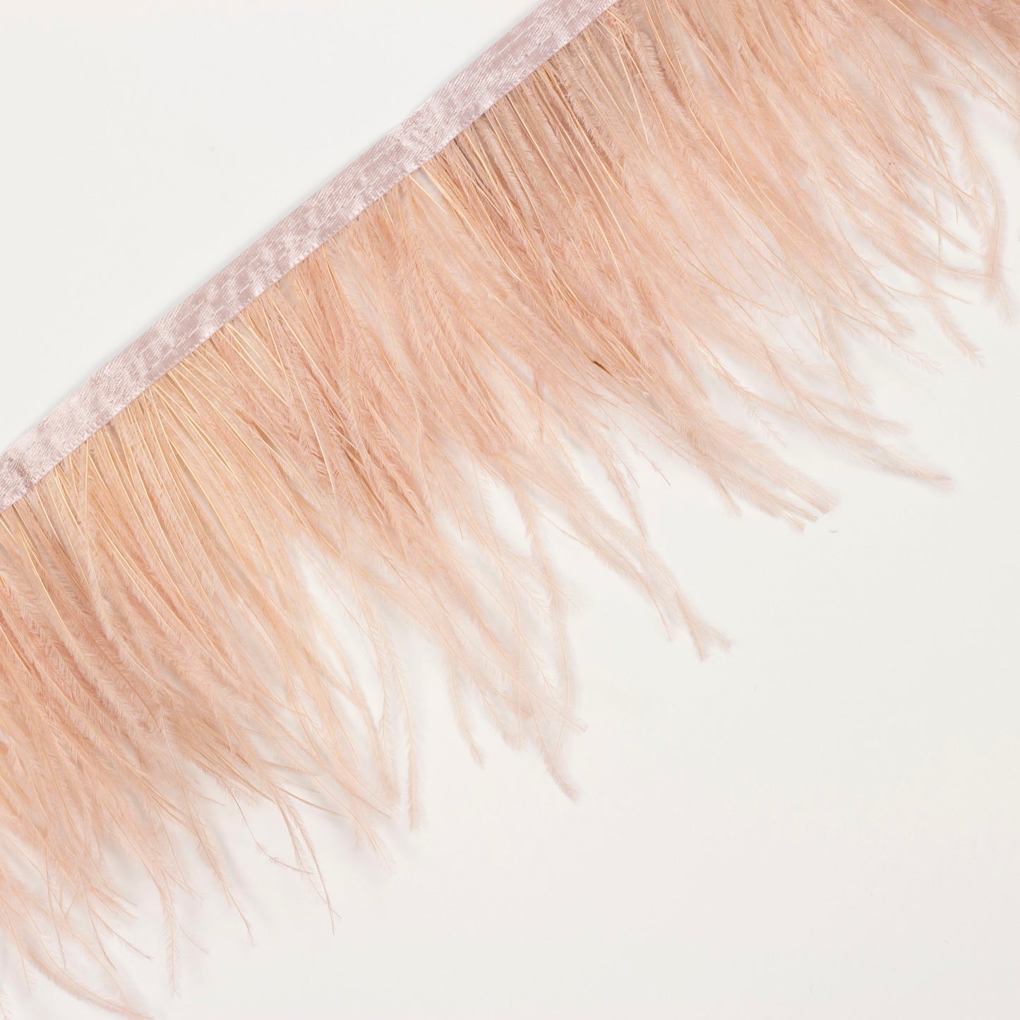 Ostrich Feather Fringe 2PLY - Champagne