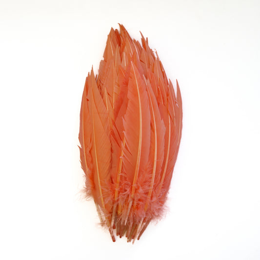 Coral Dagger Turkey Quill Feathers 9-12"