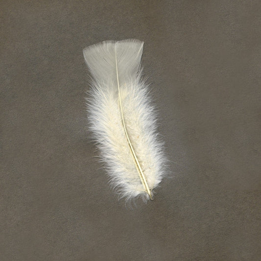 Loose Turkey Flats Dyed Feathers-Eggshell