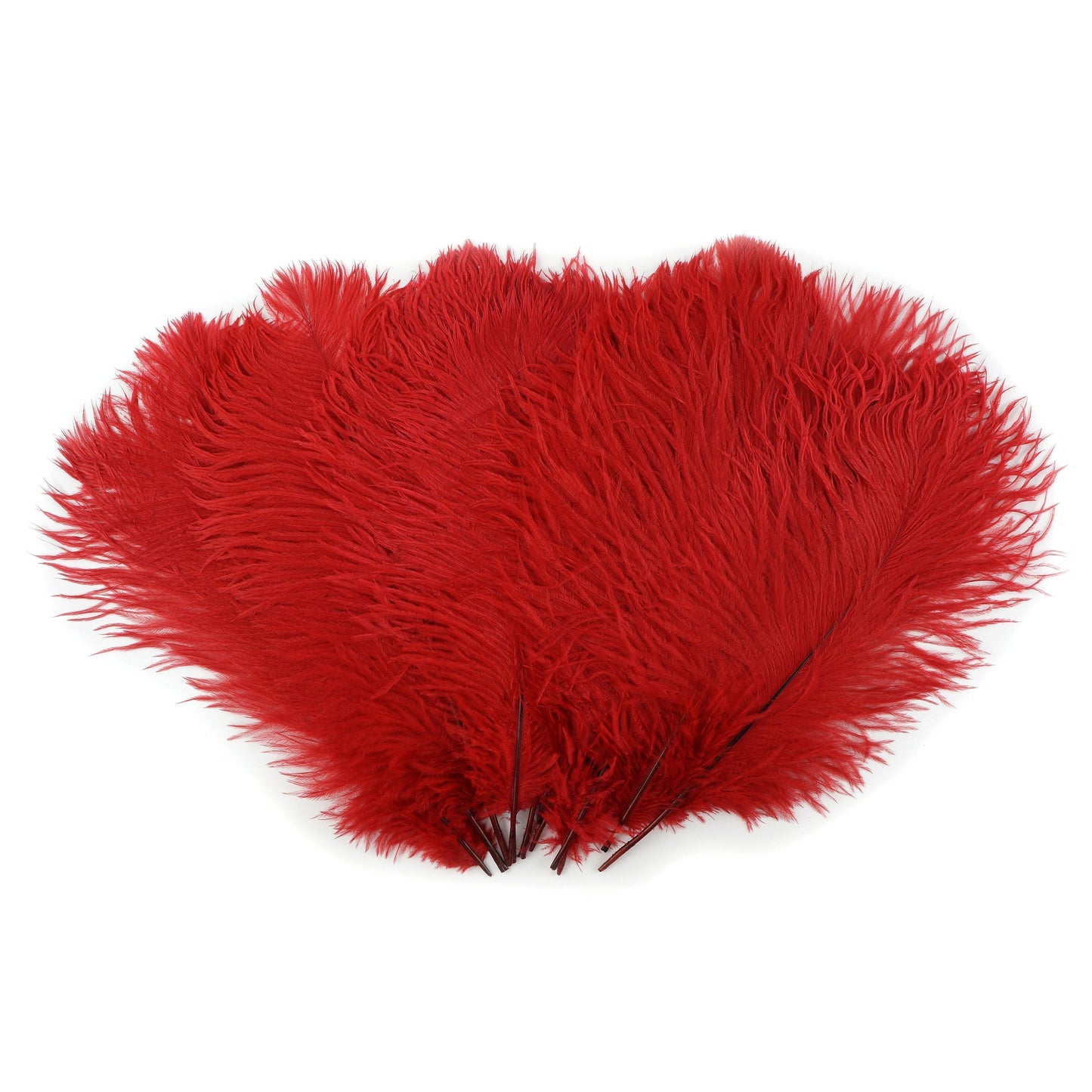 Ostrich Feathers 13-16" Drabs - Red