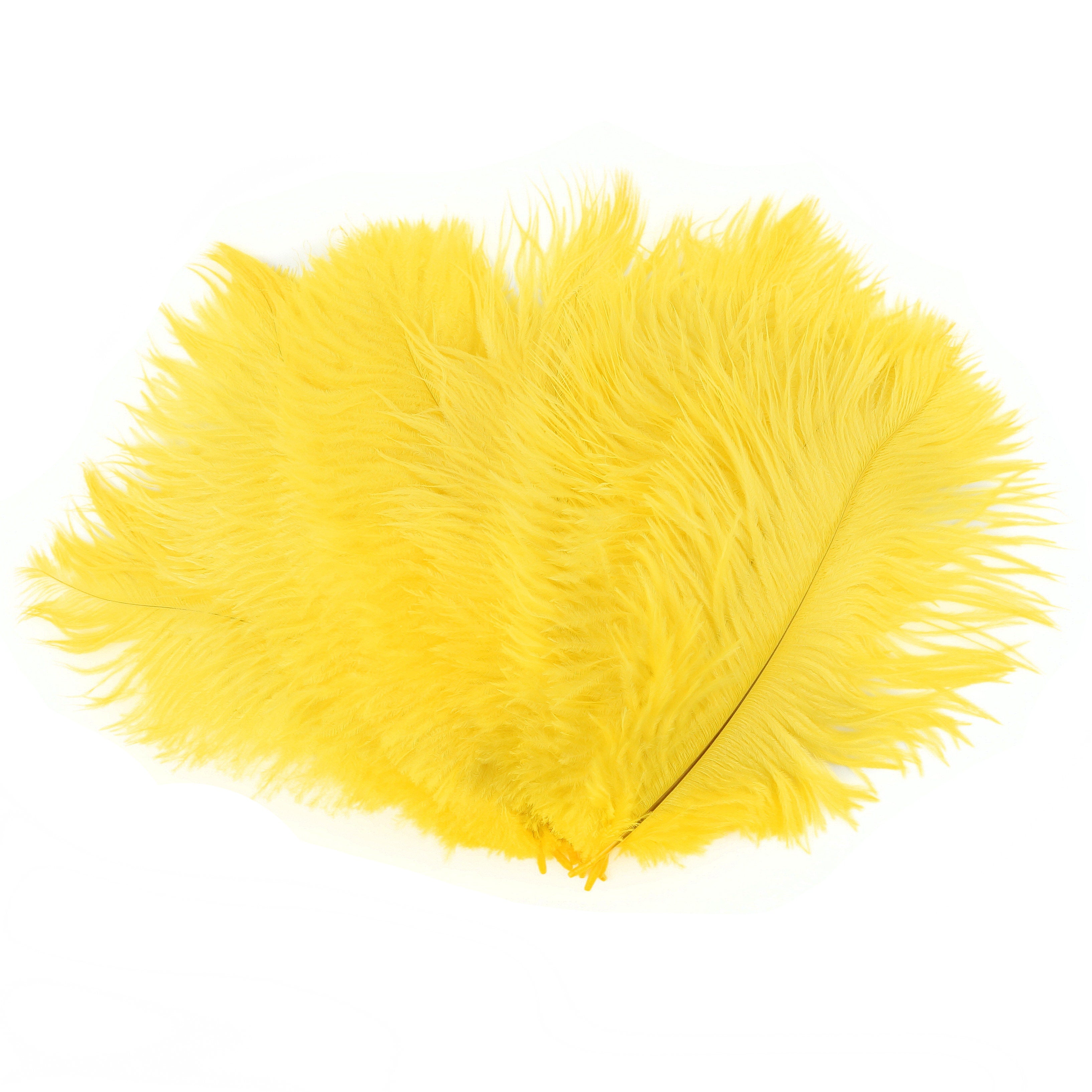 Yellow Feathers Featherplace By Zucker Feather Products Inc yellow-feathers-featherplace-by-zucker-feather-products-inc