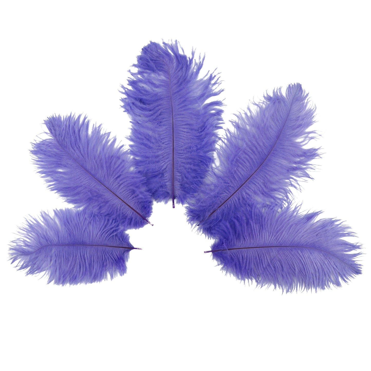 Ostrich Feathers 4-8" Drabs - Lavender